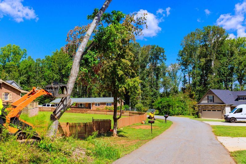Stone Cladding Removal
