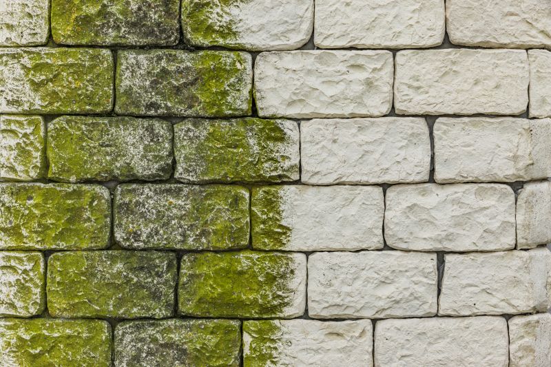 Stone Cladding Removal Process